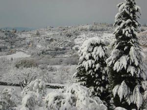 I due cipressi BB Firenze Sud vista sulla collina innevata thumb