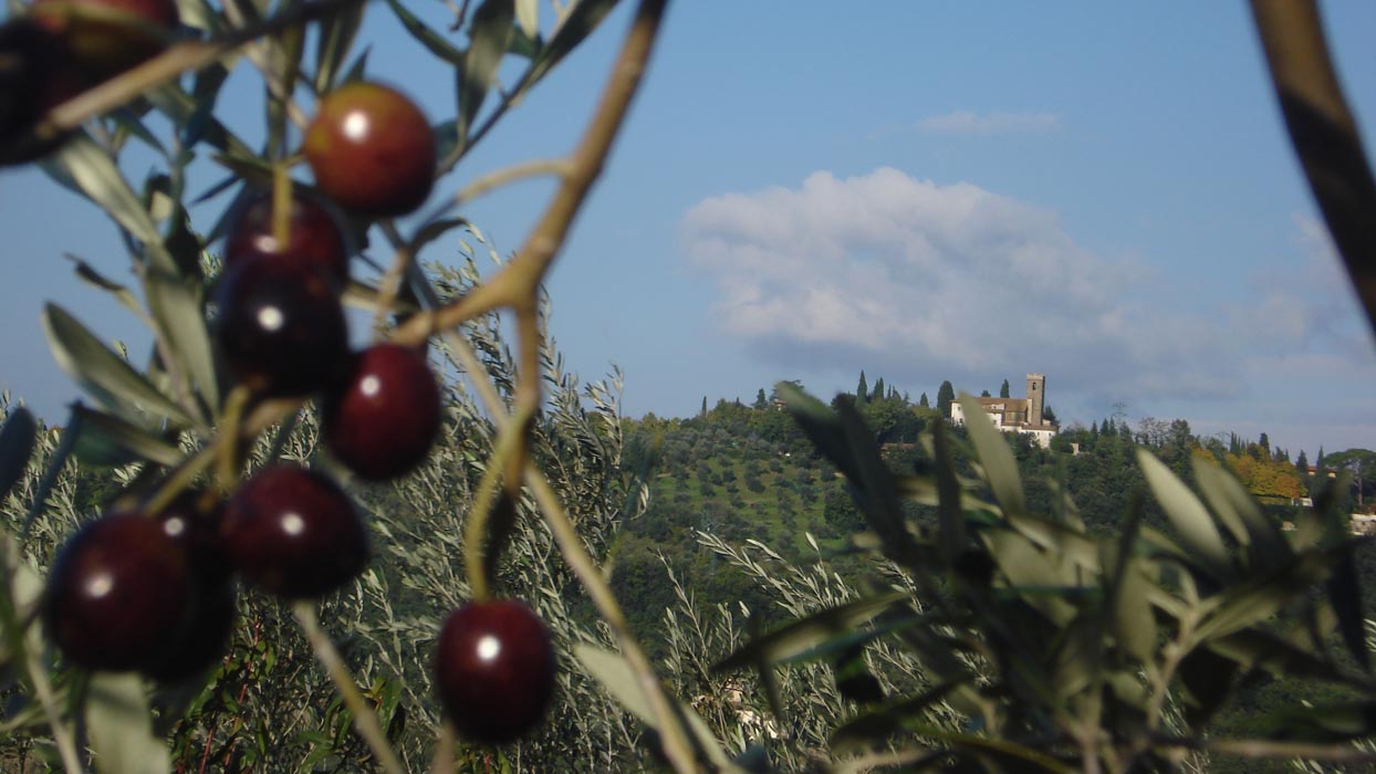 I Due Cipressi B&B sulle colline di Firenze