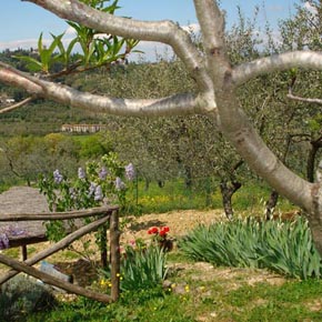 I Due Cipressi B&B a Firenze Sud - Le colline di Firenze