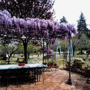 I Due Cipressi B&B a Firenze Sud - La pergola sulla terrazza panoramica