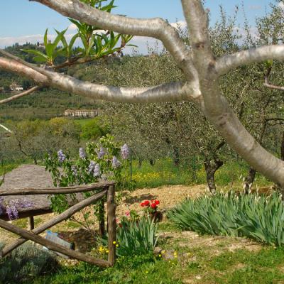 I Due Cipressi B&B a Firenze Sud - Le colline di Firenze