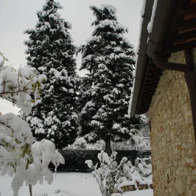 I Due Cipressi B&B a Firenze Sud - I due cipressi Innevati