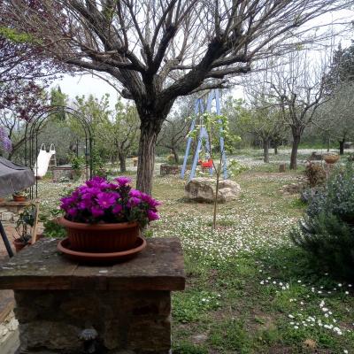 I Due Cipressi B&B a Firenze Sud - Il giardino
