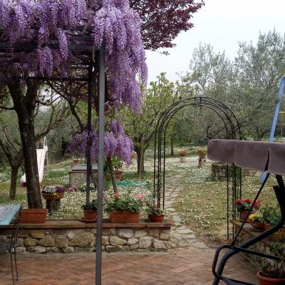 I Due Cipressi B&B a Firenze Sud - Il giardino