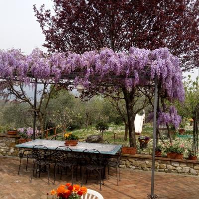 I Due Cipressi B&B a Firenze Sud - Il giardino