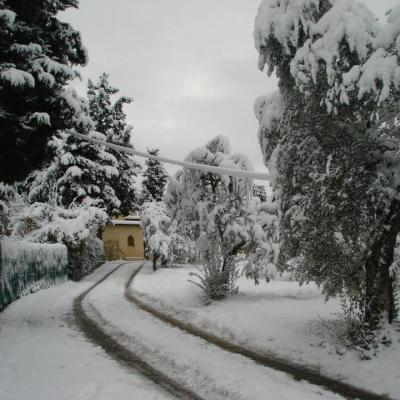 I Due Cipressi B&B a Firenze Sud - La strada che arriva al casale sotto la neve