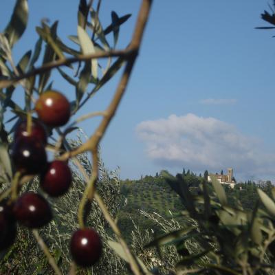 I Due Cipressi B&B a Firenze Sud - la vista sulle colline di Firenze