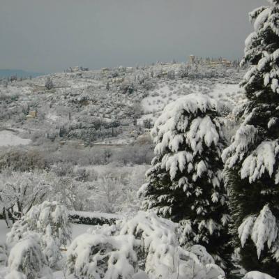 I Due Cipressi B&B a Firenze Sud - Vista sulla collina innevata